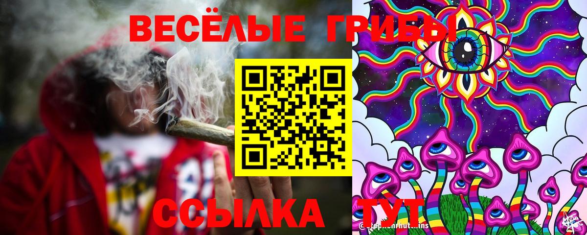 Галлюциногенные грибы Psilocybine cubensis Отрадный